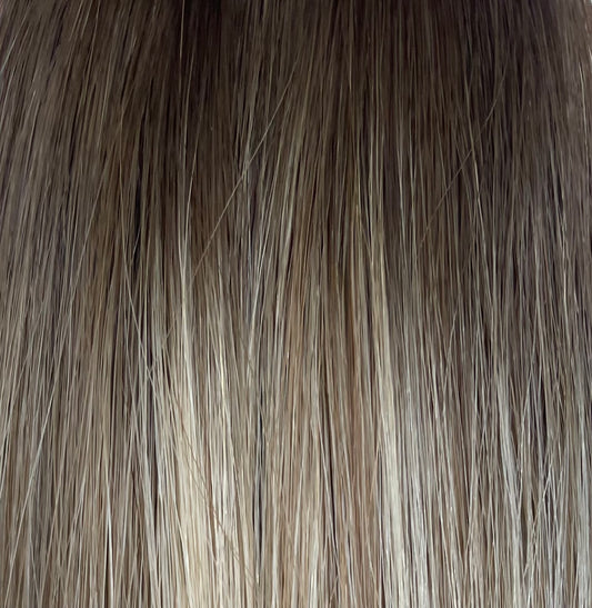 Rooted Golden Chestnut